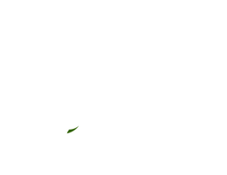 Ecommerce Circle
